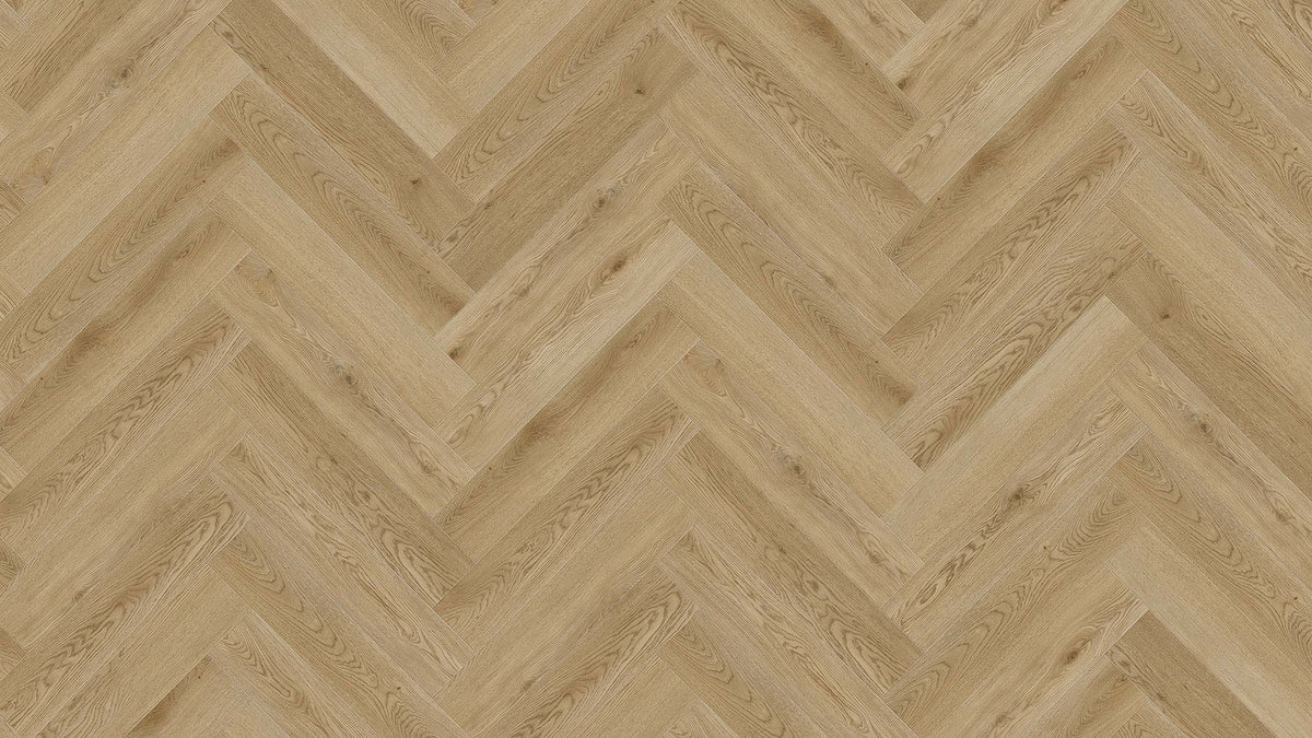 SIENA 06