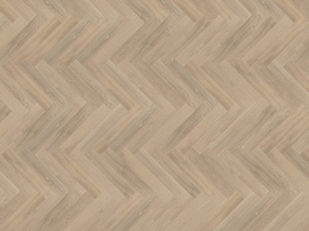 SIENA 05