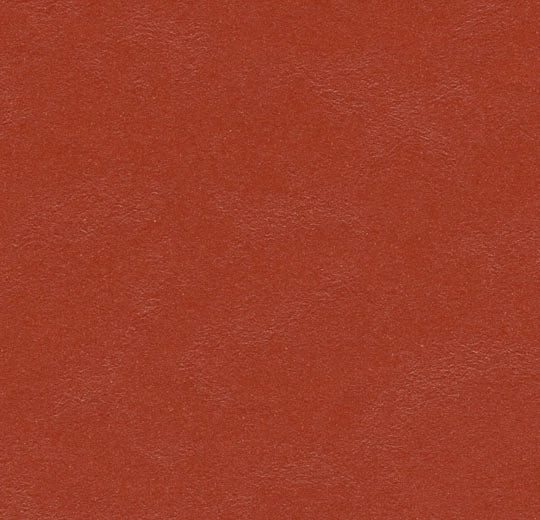WITAN LINO 04 – Linoleum