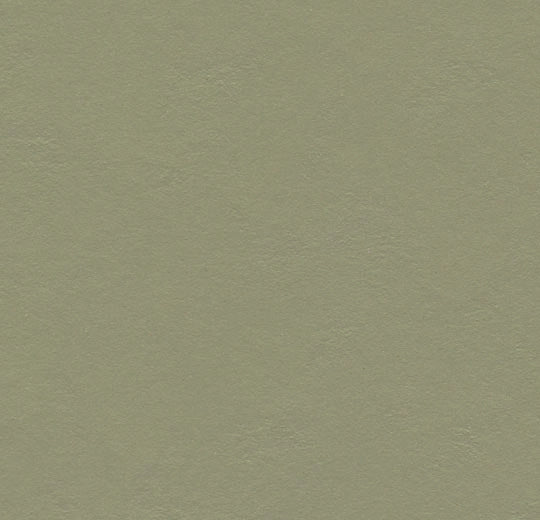 WITAN LINO 06 – Linoleum