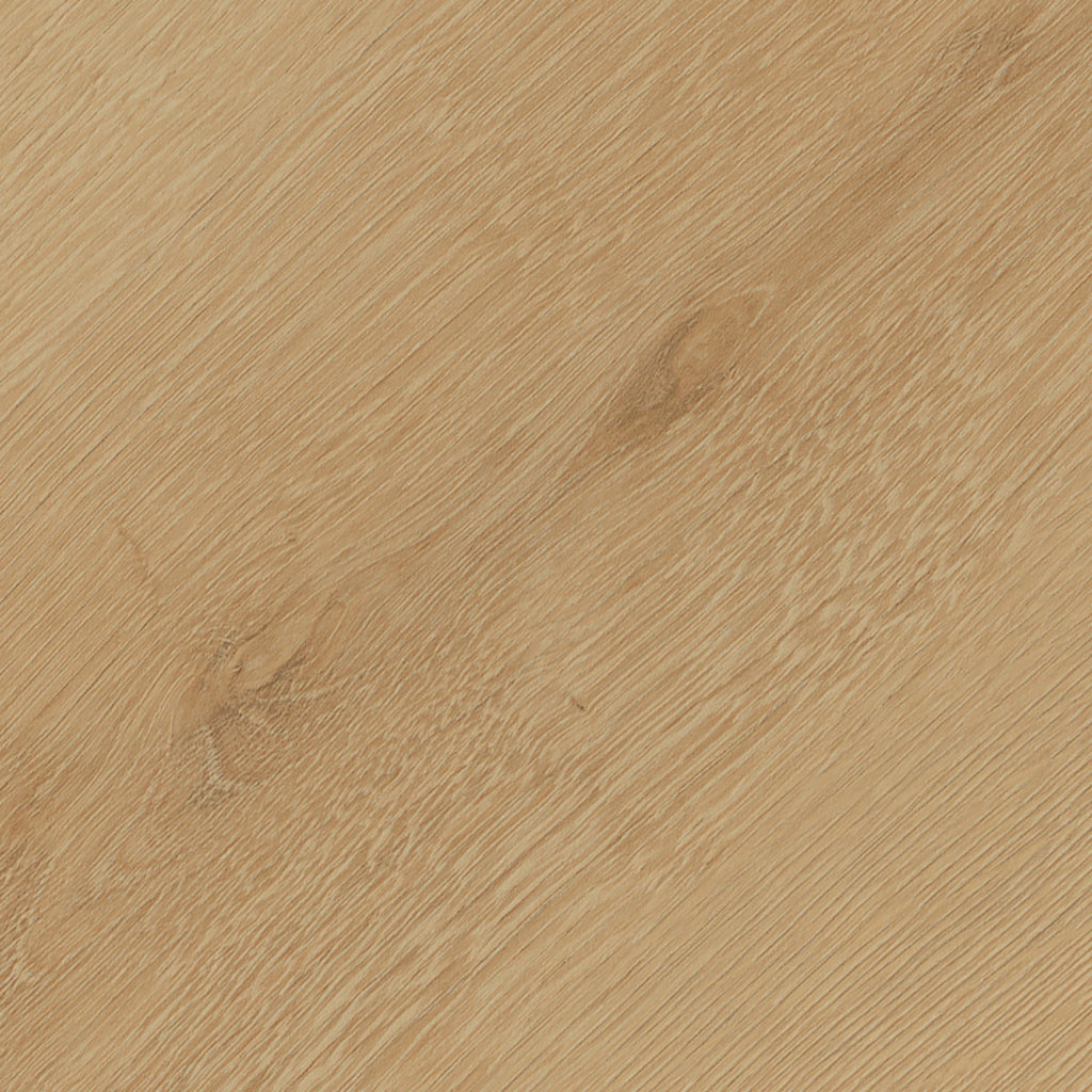 Invictus Maximus Dryback Belrose Oak – Sesame – próbka