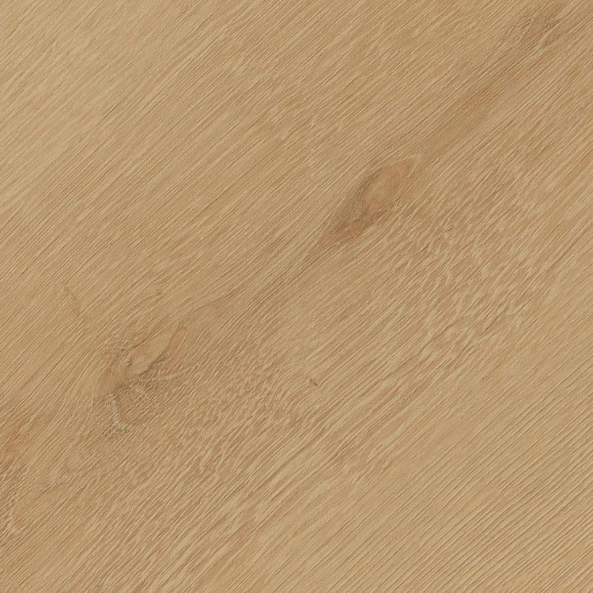 Invictus Maximus Dryback Belrose Oak – Sesame – próbka