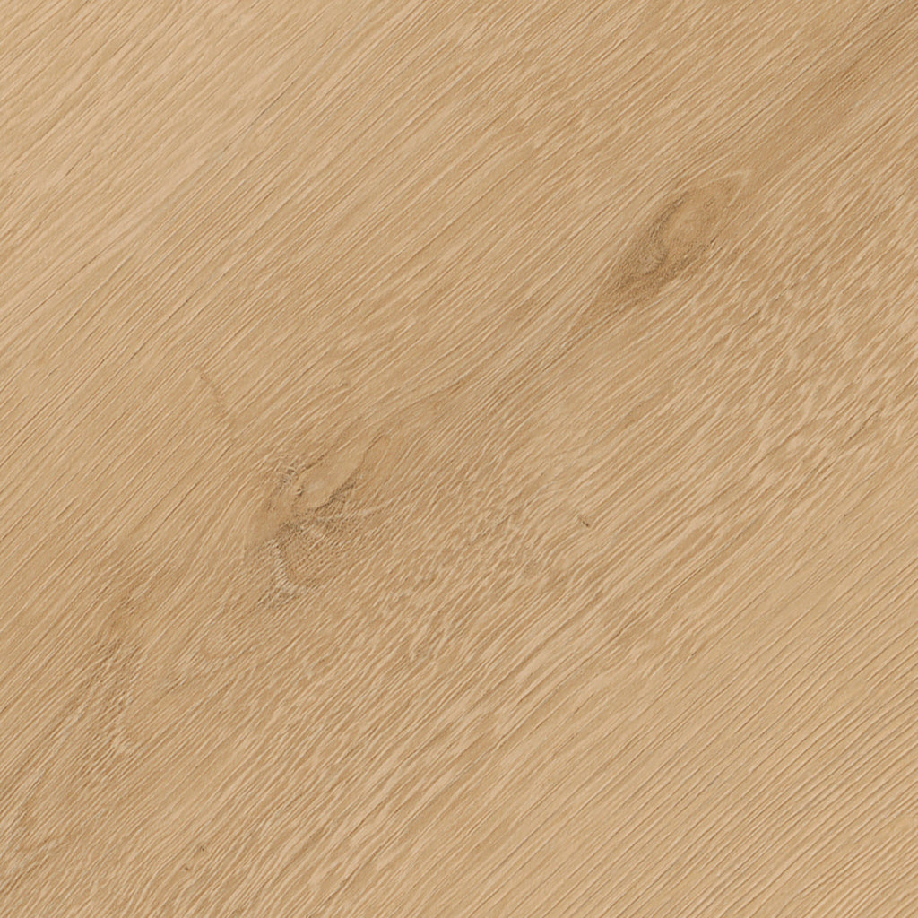 Invictus Maximus Dryback Belrose Oak – Harvest – próbka