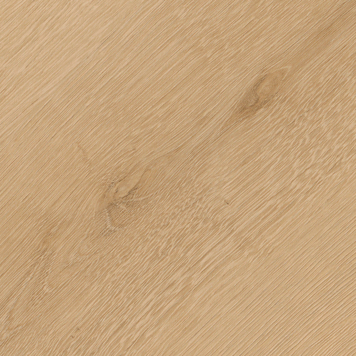Invictus Maximus Dryback Belrose Oak – Harvest – próbka