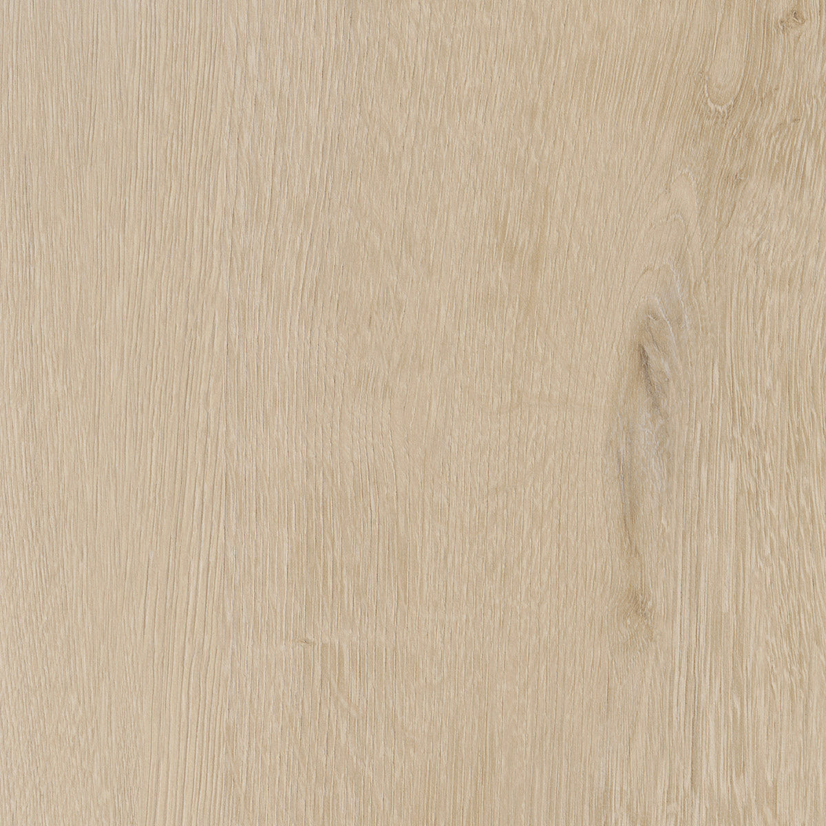 Invictus Maximus Dryback Belrose Oak – Truffle – próbka