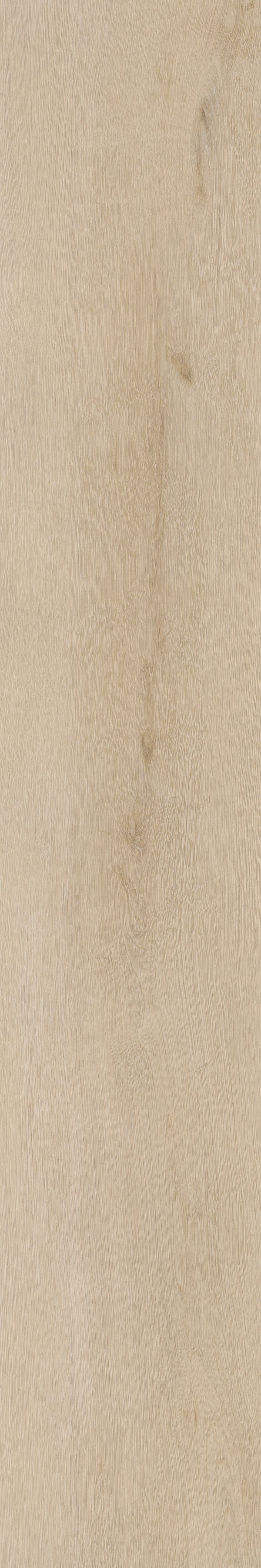 Invictus Maximus Dryback Belrose Oak – Truffle – detal