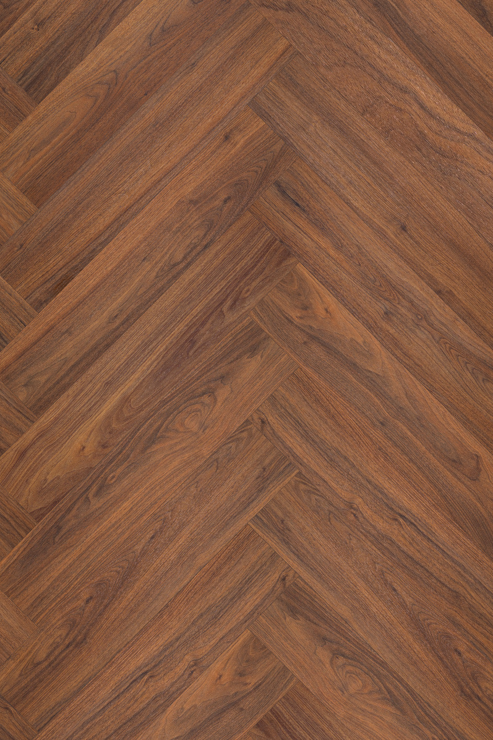 Invictus Maximus Dryback Bella Noce – Walnut – detal