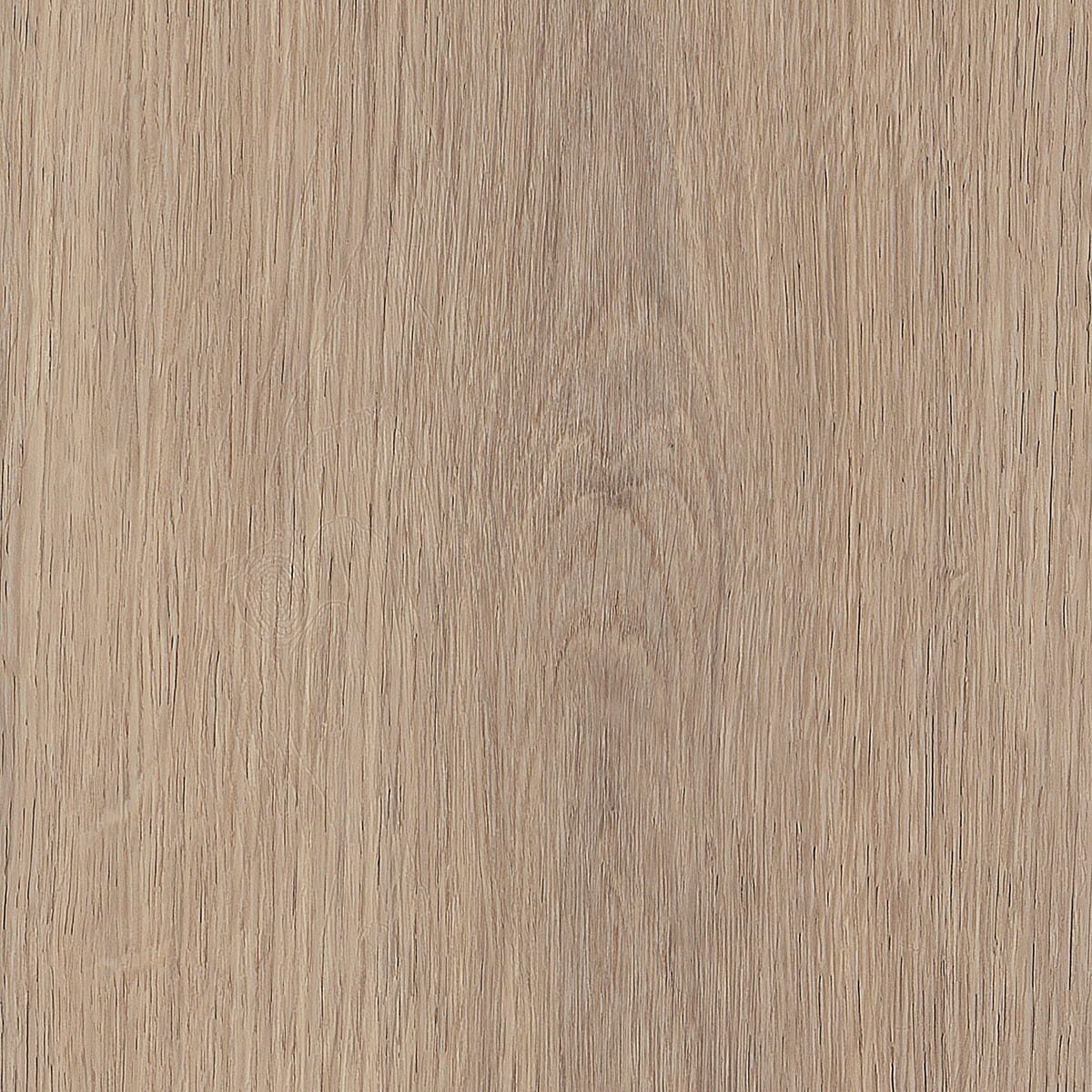 Invictus Primus Dryback Cashmere Oak – Beach – próbka