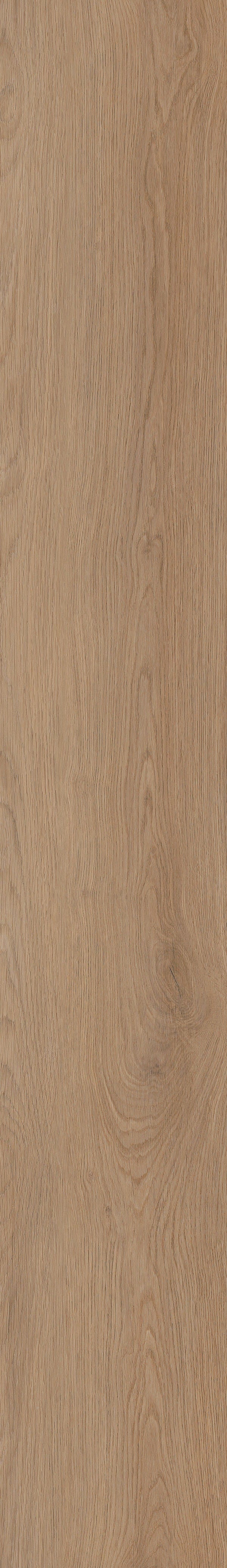 Invictus Primus Dryback Cashmere Oak – Sunny – detal