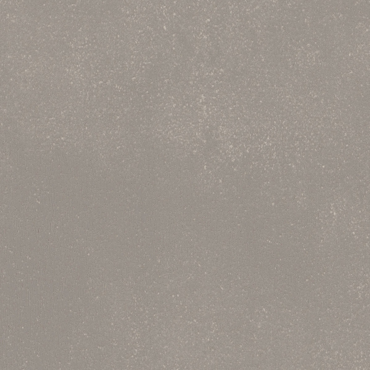 Invictus Maximus Dryback Concrete Crush – Smoke – próbka