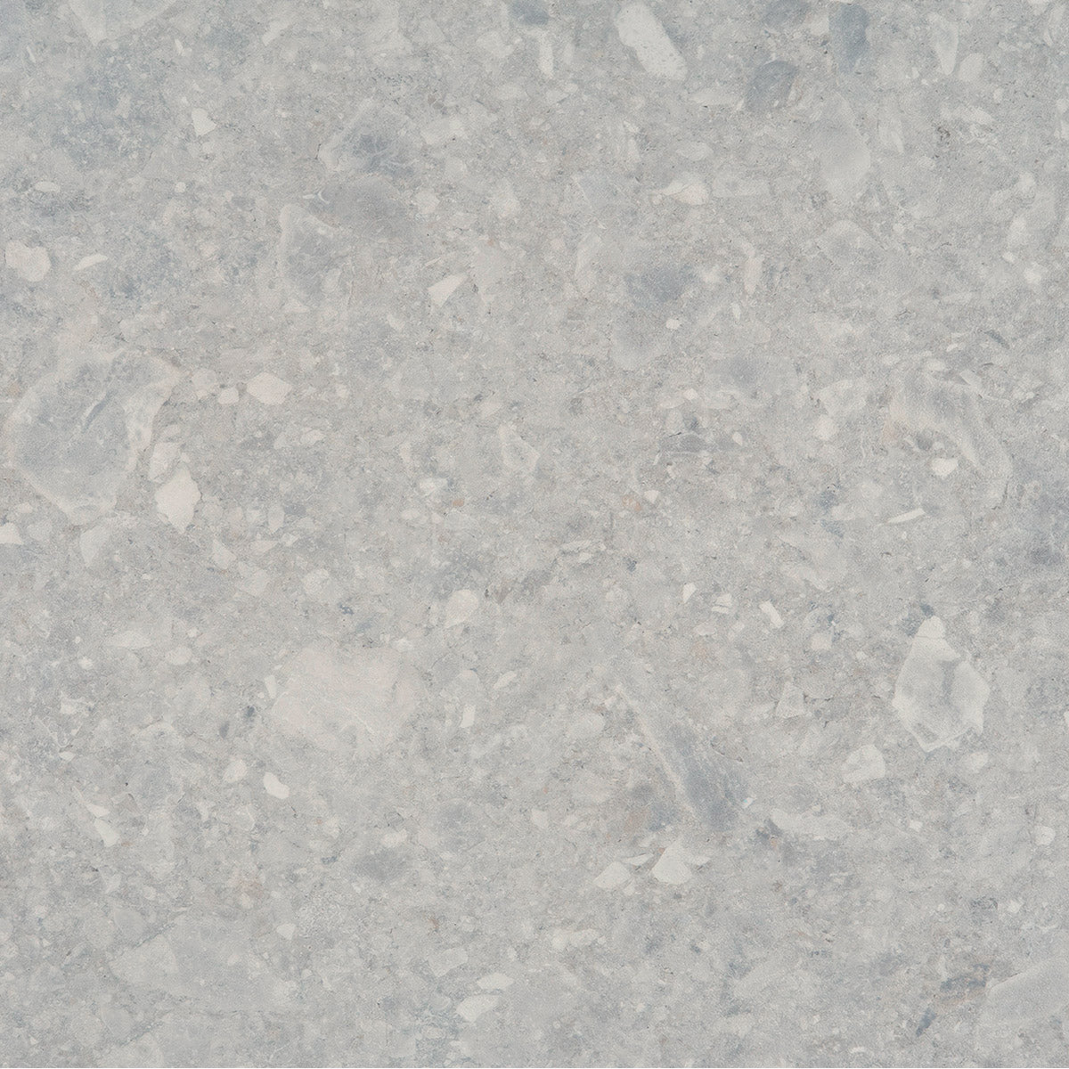 Invictus Maximus Dryback Cosmopolitan – Grigio – próbka