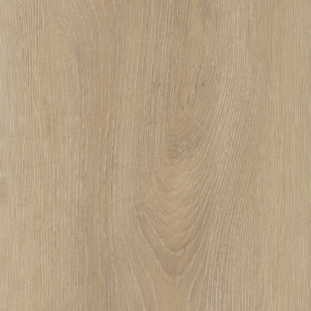 Invictus Maximus Dryback Divine Oak – Champagne – próbka