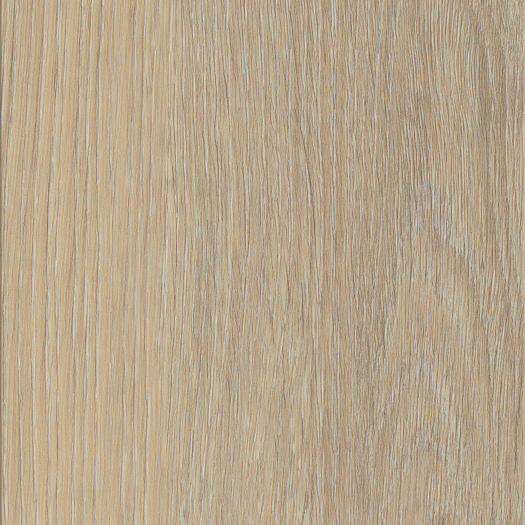 Invictus Maximus Dryback French Oak – Desert – próbka