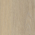 Invictus Maximus Dryback French Oak – Desert – próbka