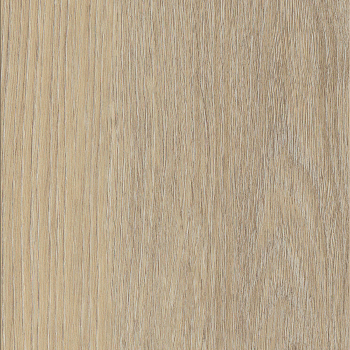 Invictus Maximus Dryback French Oak – Desert – próbka