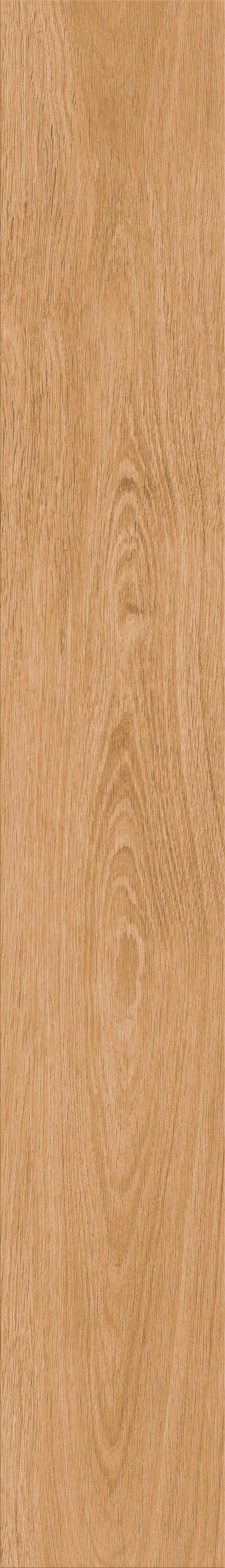 Invictus Maximus Dryback Highland Oak – Classic – detal