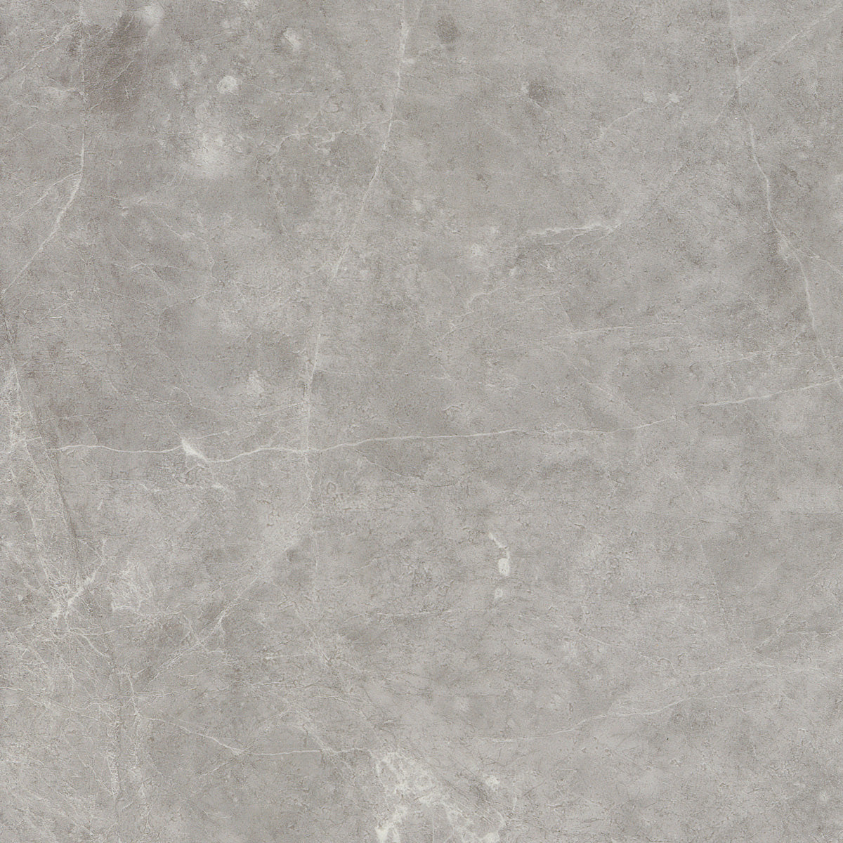 Invictus Maximus Dryback Hudson Stone – Silver – próbka