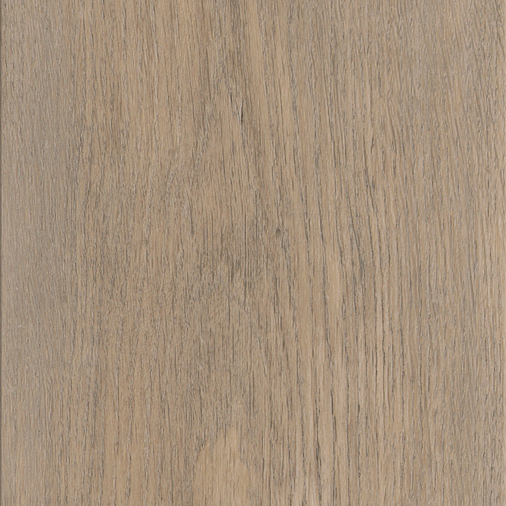Invictus Maximus Dryback New England Oak – Sand – próbka