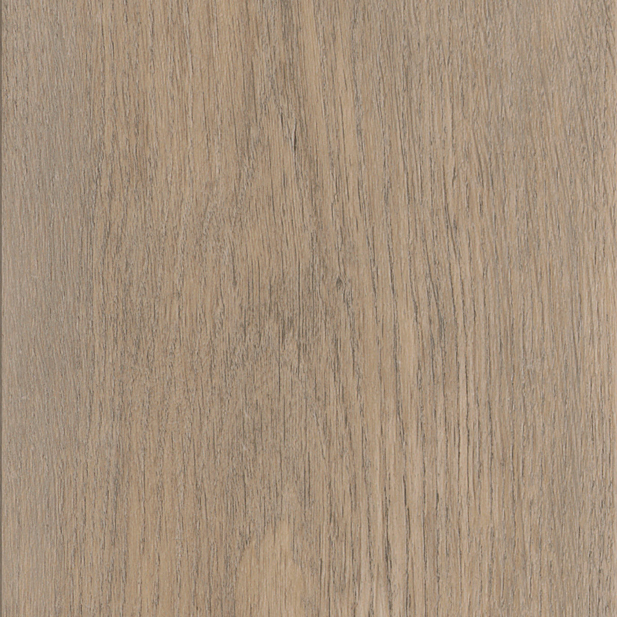 Invictus Maximus Dryback New England Oak – Sand – próbka