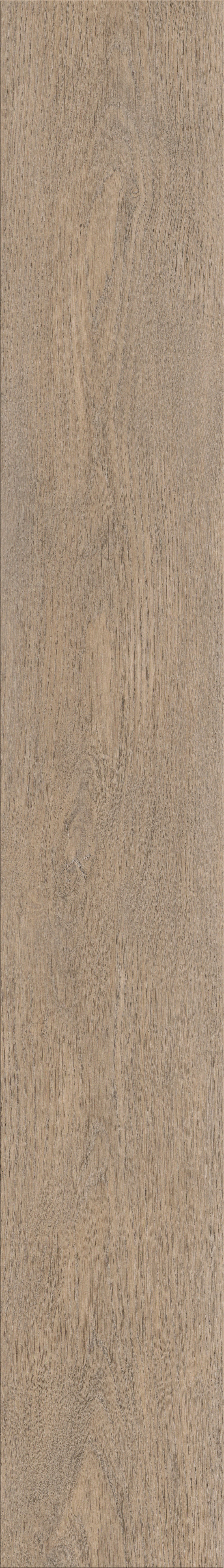 Invictus Maximus Dryback New England Oak – Sand – detal