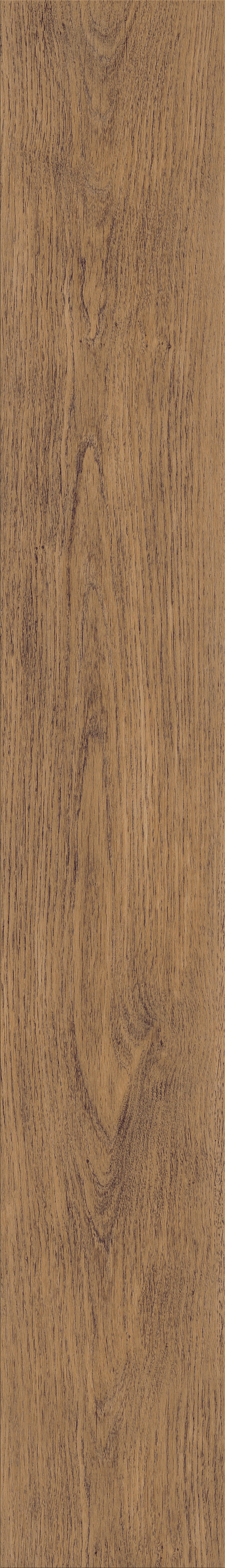 Invictus Maximus Dryback New England Oak – Toffee – detal