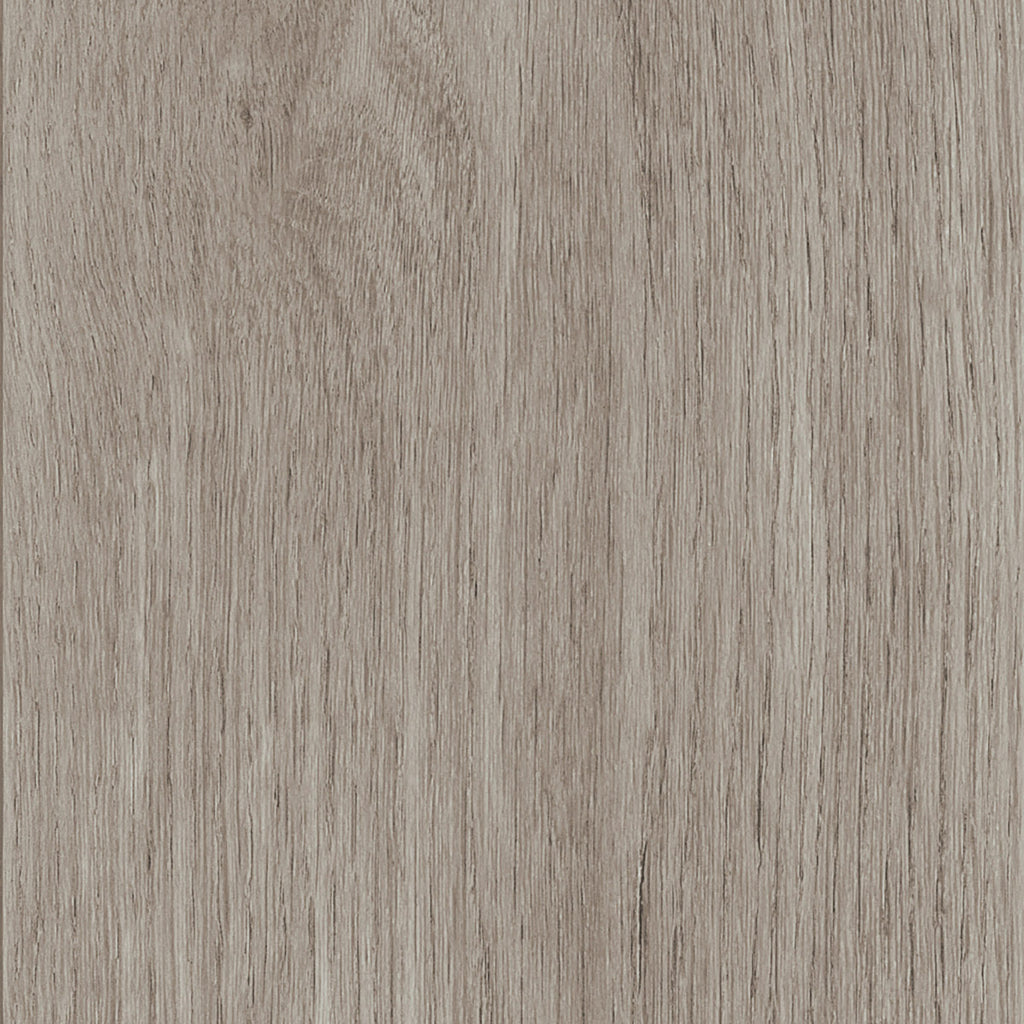Invictus Maximus Dryback New England Oak – Misty – próbka