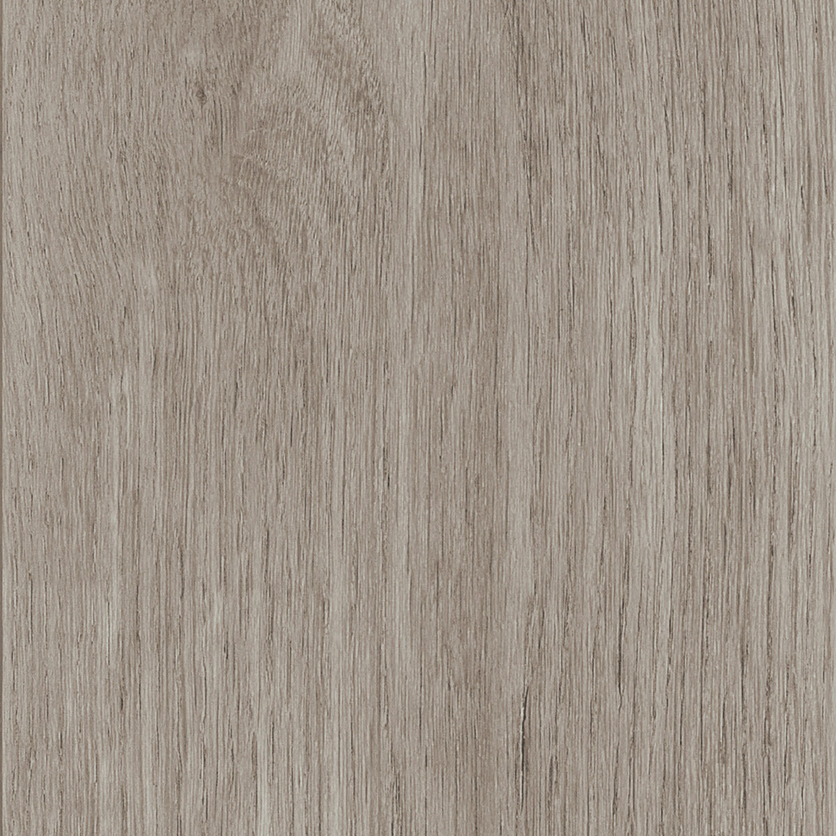 Invictus Maximus Dryback New England Oak – Misty – próbka