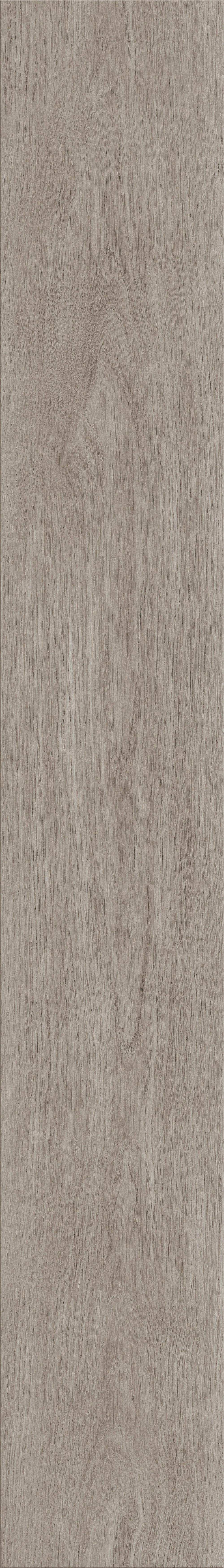Invictus Maximus Dryback New England Oak – Misty – detal