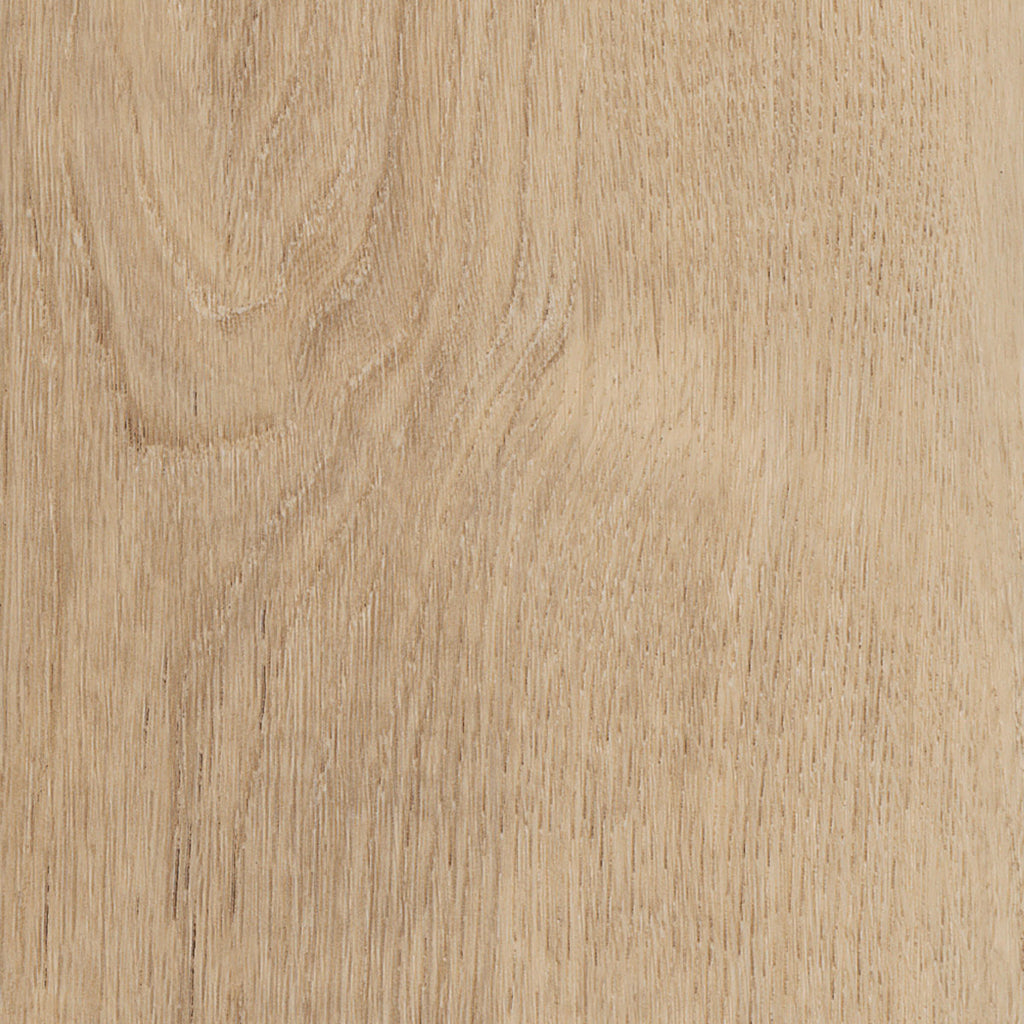 Invictus Primus Dryback Royal Oak – Blonde – próbka