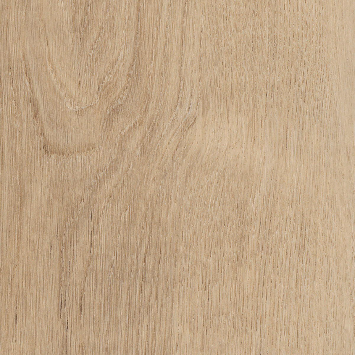 Invictus Primus Dryback Royal Oak – Blonde – próbka