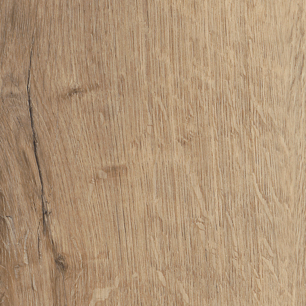 Invictus Primus Dryback Royal Oak – Traditional – próbka