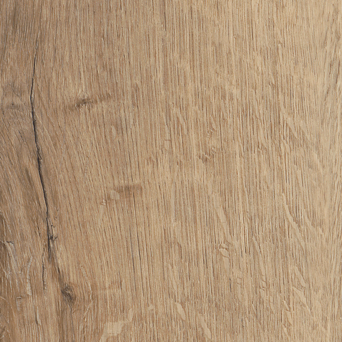 Invictus Primus Dryback Royal Oak – Traditional – próbka