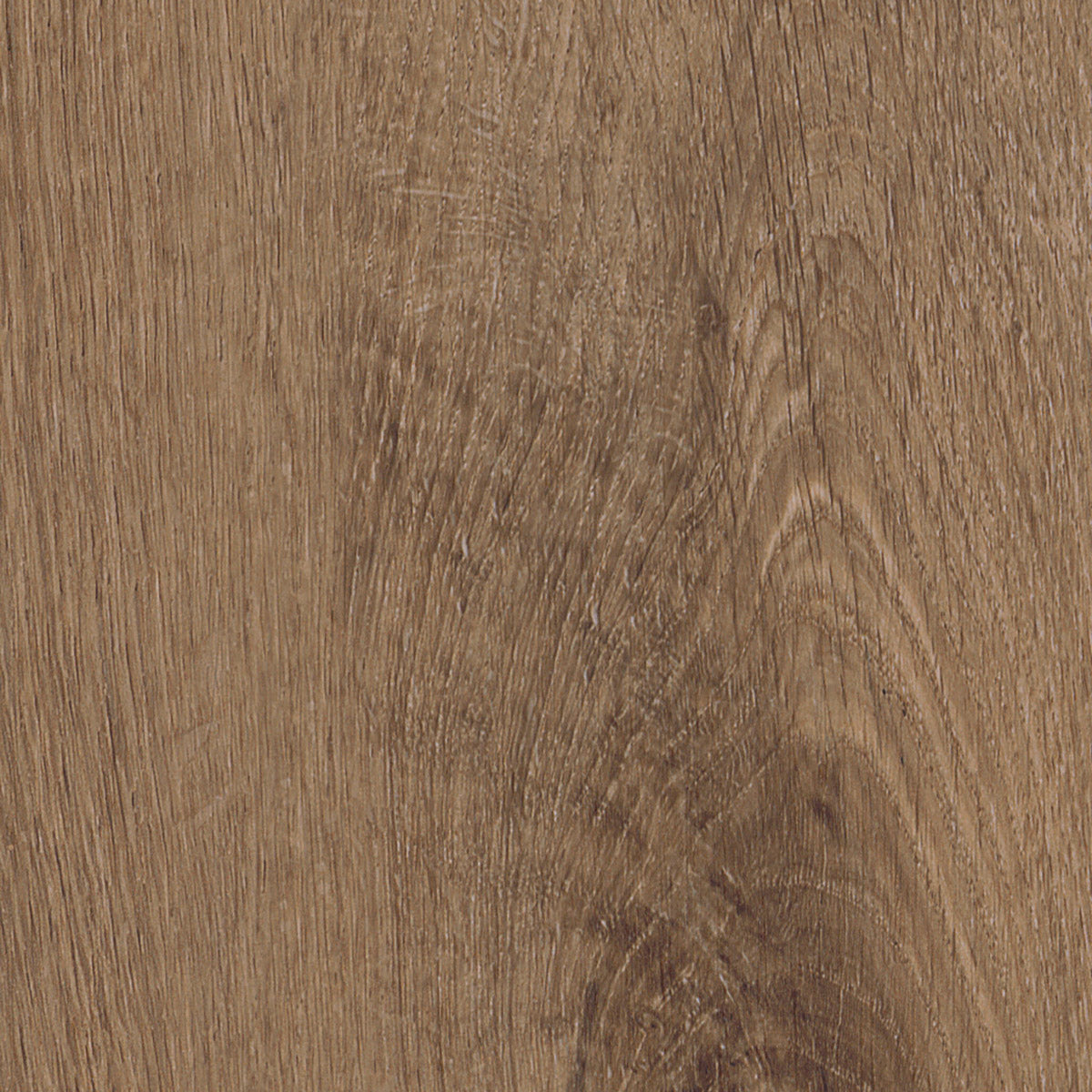 Invictus Primus Dryback Royal Oak – Mocca – próbka