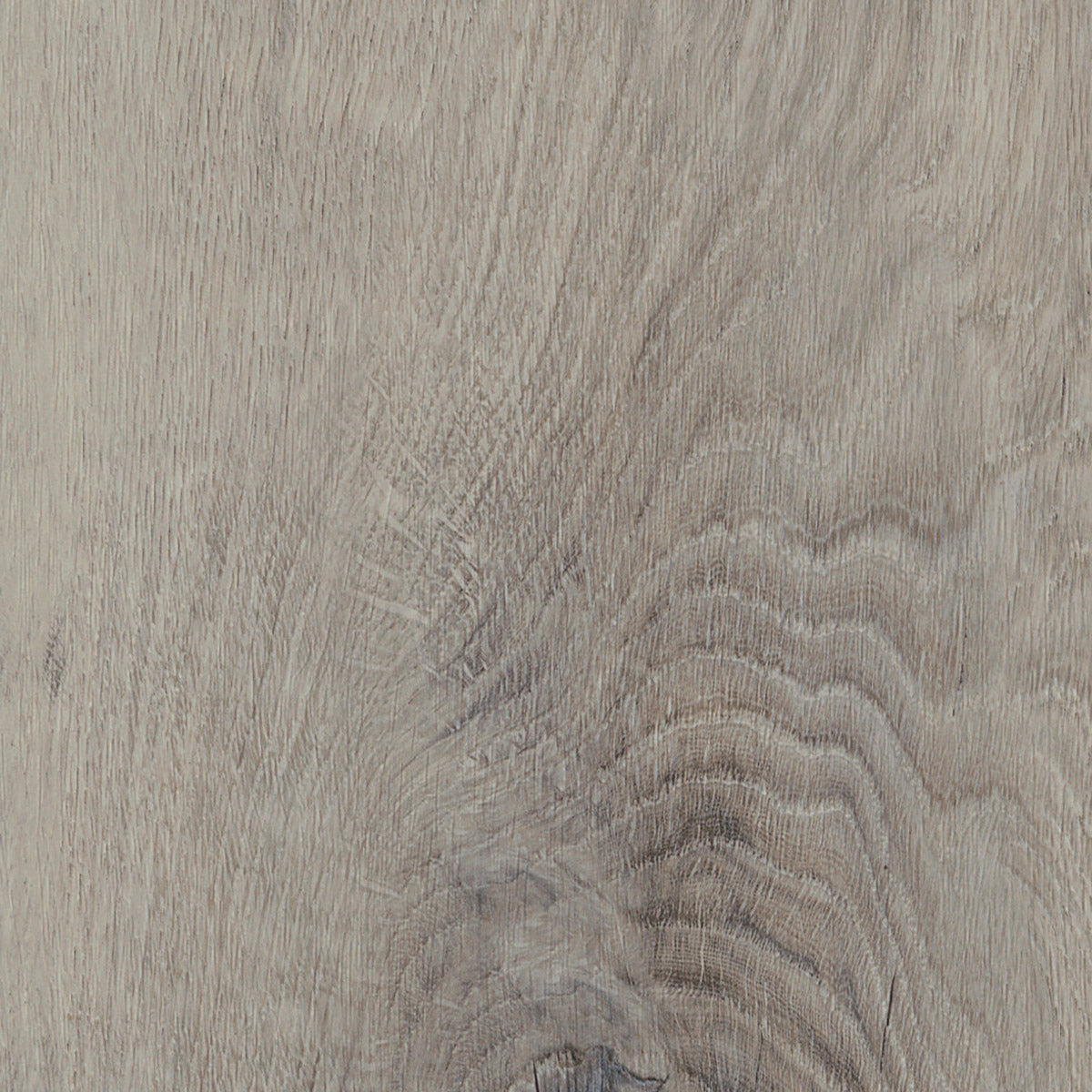 Invictus Primus Dryback Royal Oak – Dove – próbka
