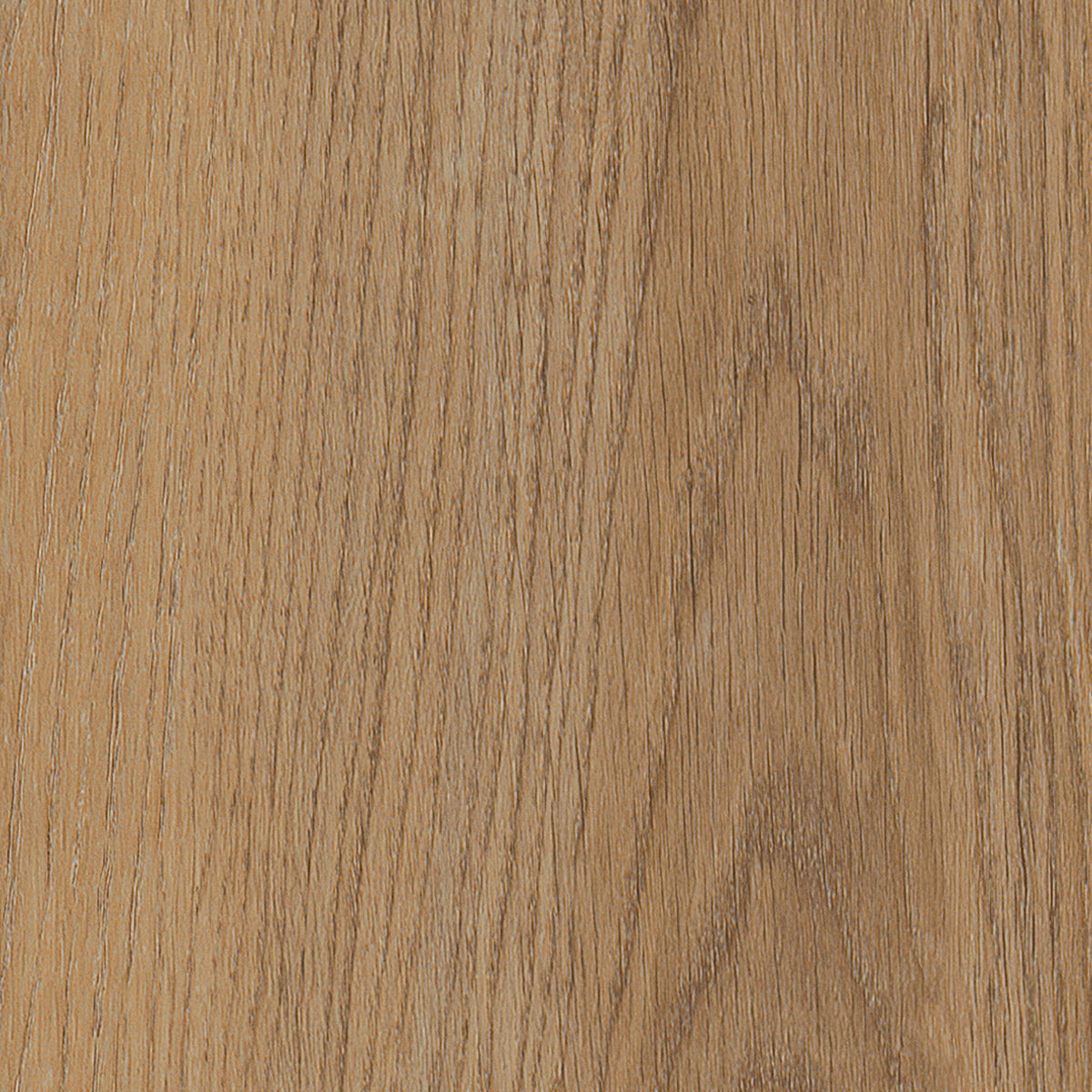 Invictus Primus Dryback Sherwood Oak – Natural – próbka