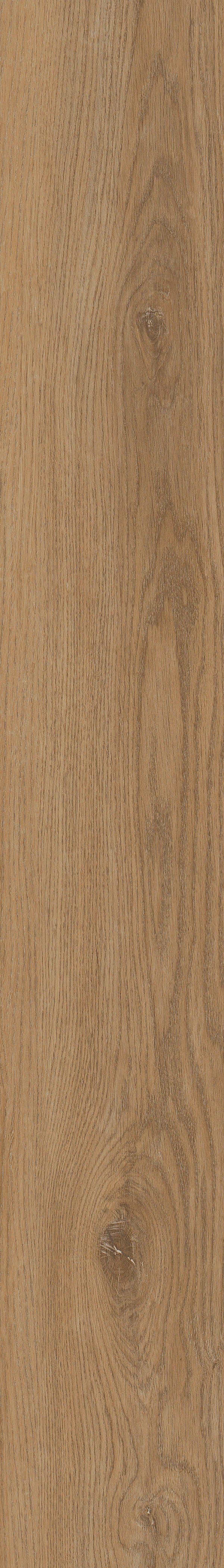 Invictus Primus Dryback Sherwood Oak – Natural – detal
