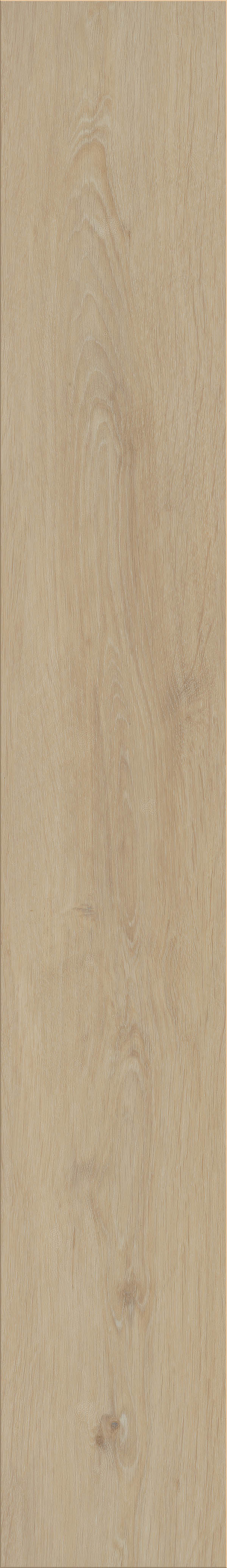 Invictus Maximus Dryback Silk Oak – Latte – detal