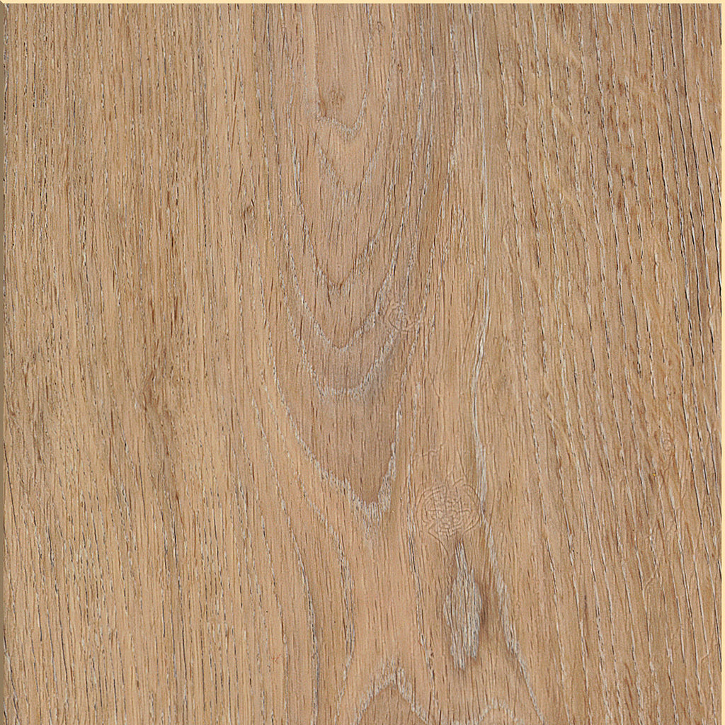 Invictus Maximus Dryback Silk Oak – Oat – próbka