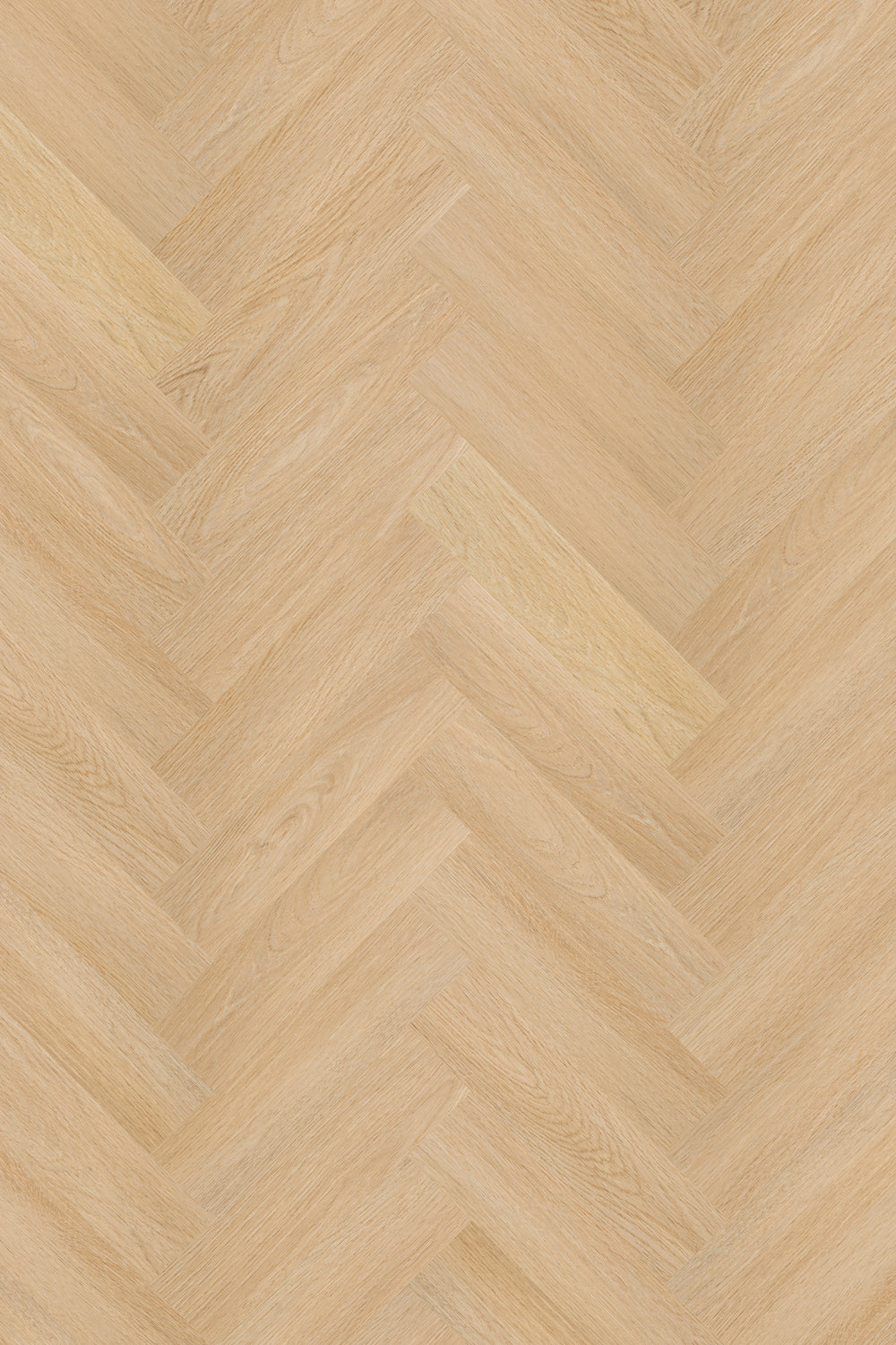 Invictus Maximus Dryback Velvet Oak – Celeste – detal