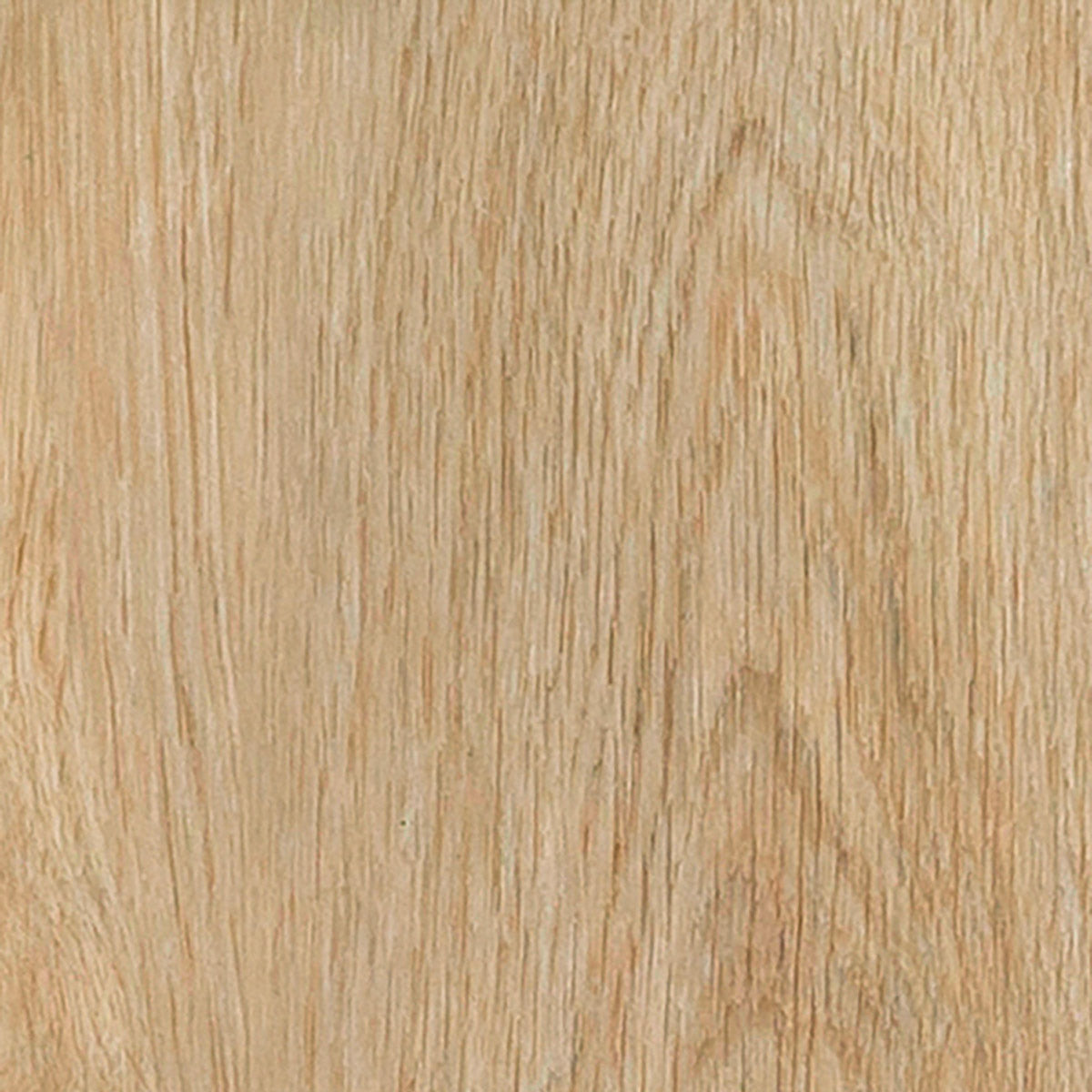 Invictus Maximus Dryback Velvet Oak – Celeste – próbka