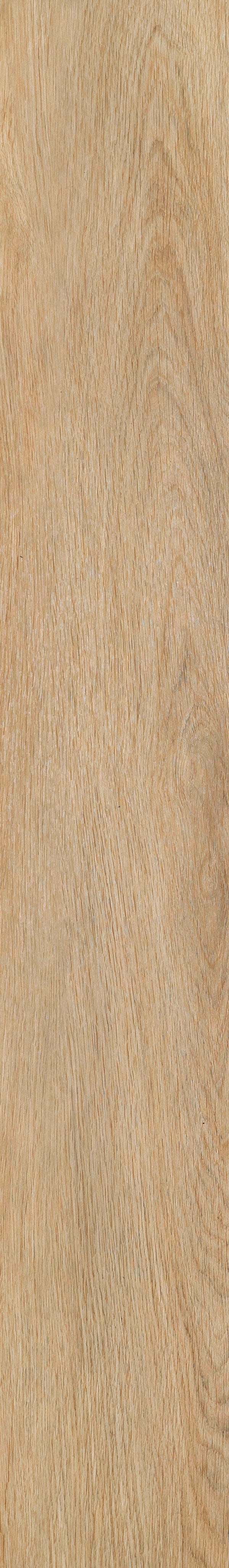 Invictus Maximus Dryback Velvet Oak – Celeste – detal