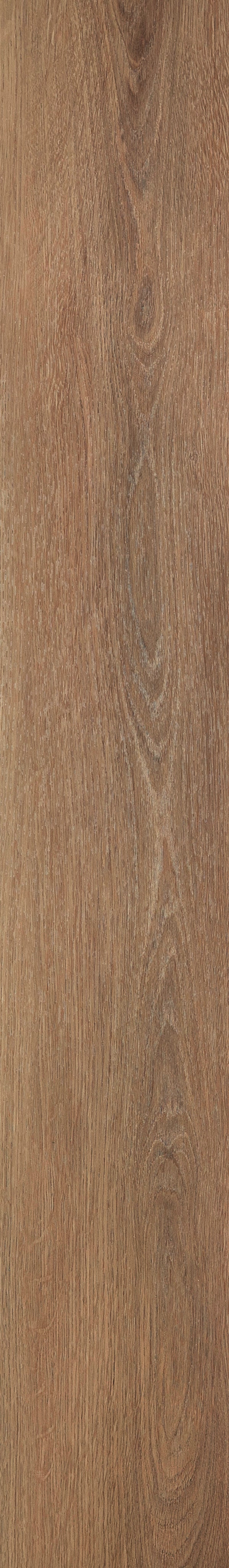 Invictus Maximus Dryback Velvet Oak – Grace – detal