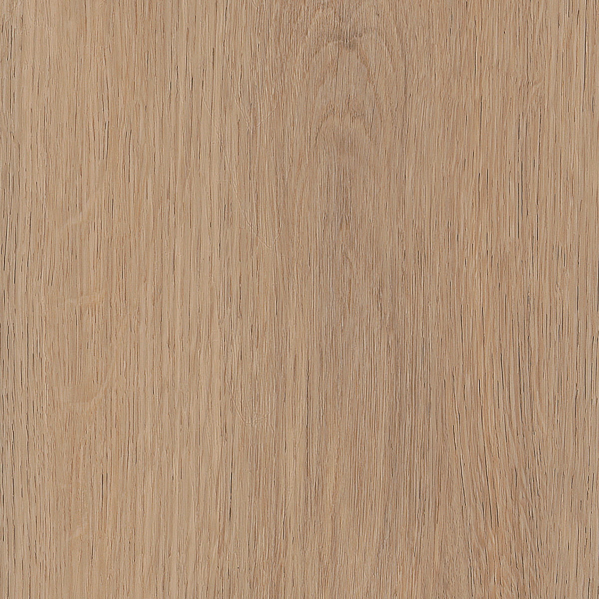 Invictus Maximus Loose Lay Cashmere Oak – Sunny – próbka