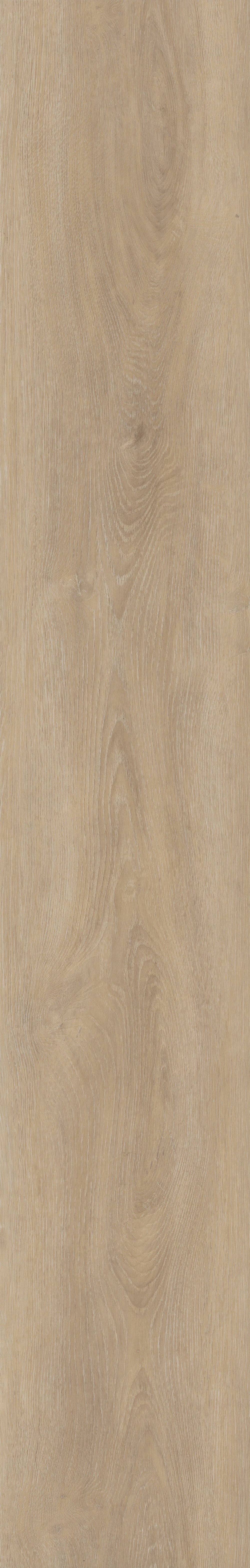 Invictus Maximus Loose Lay Divine Oak – Champagne – detal