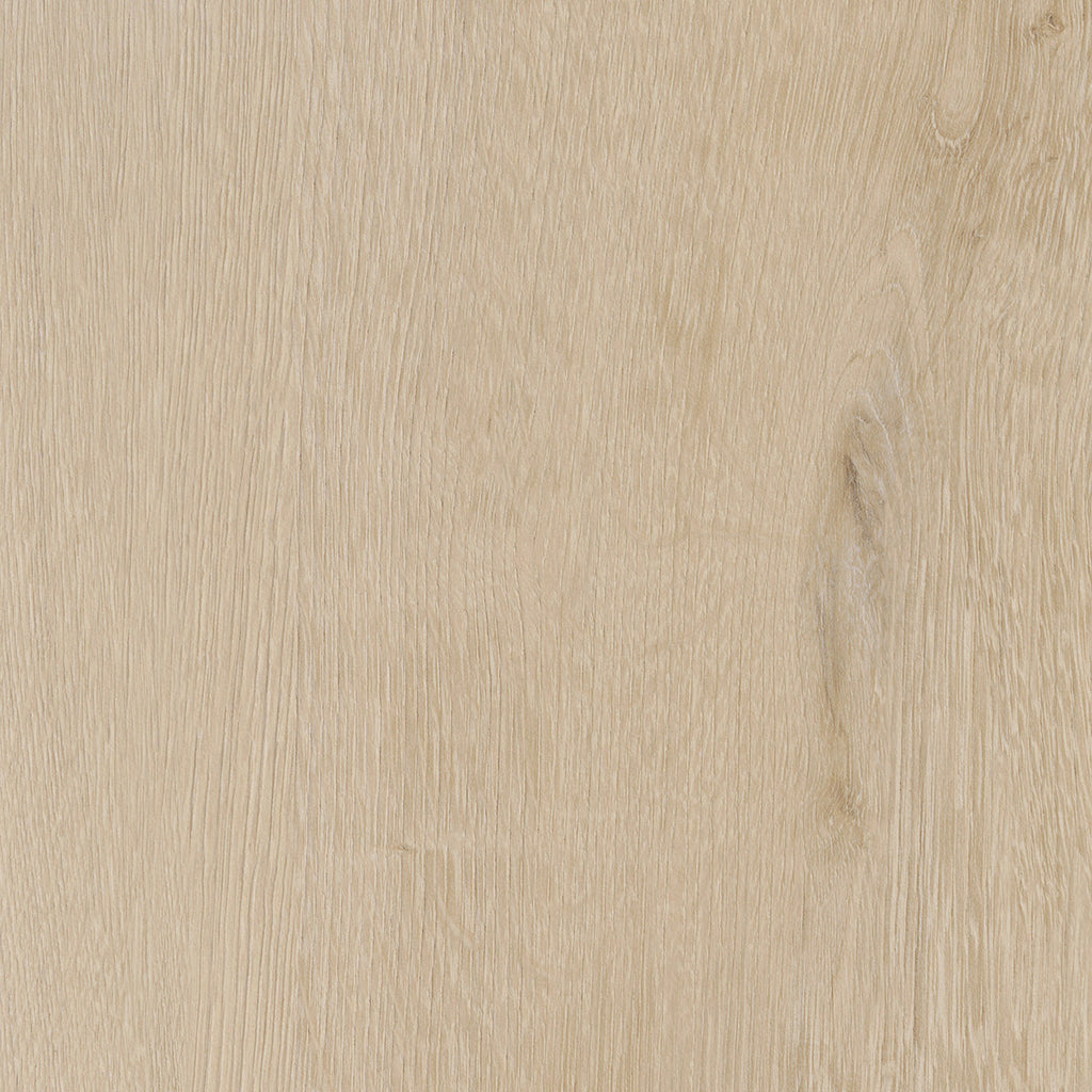 Invictus Maximus Click Belrose Oak – Truffle – próbka