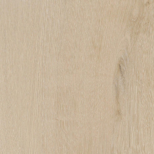 Invictus Maximus Click Belrose Oak – Truffle – próbka