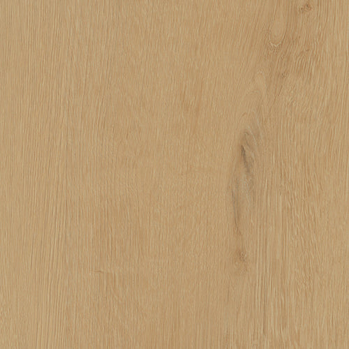 Invictus Maximus Click Belrose Oak – Sesame – próbka