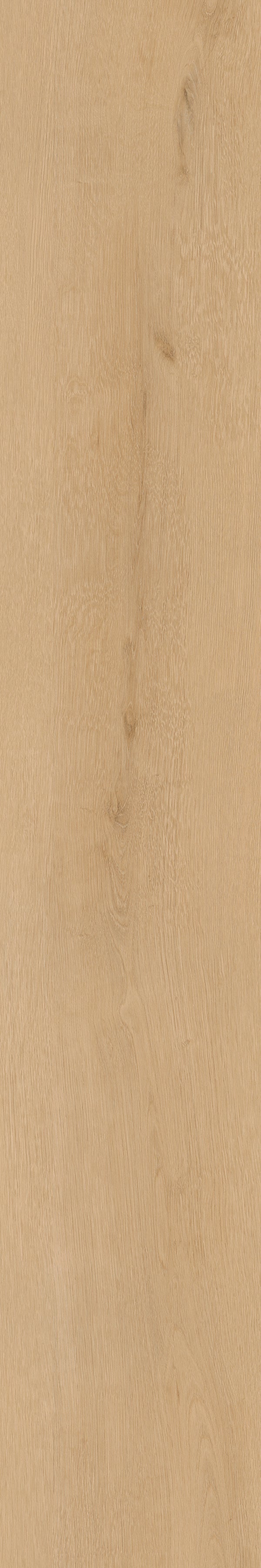 Invictus Maximus Click Belrose Oak – Harvest – detal