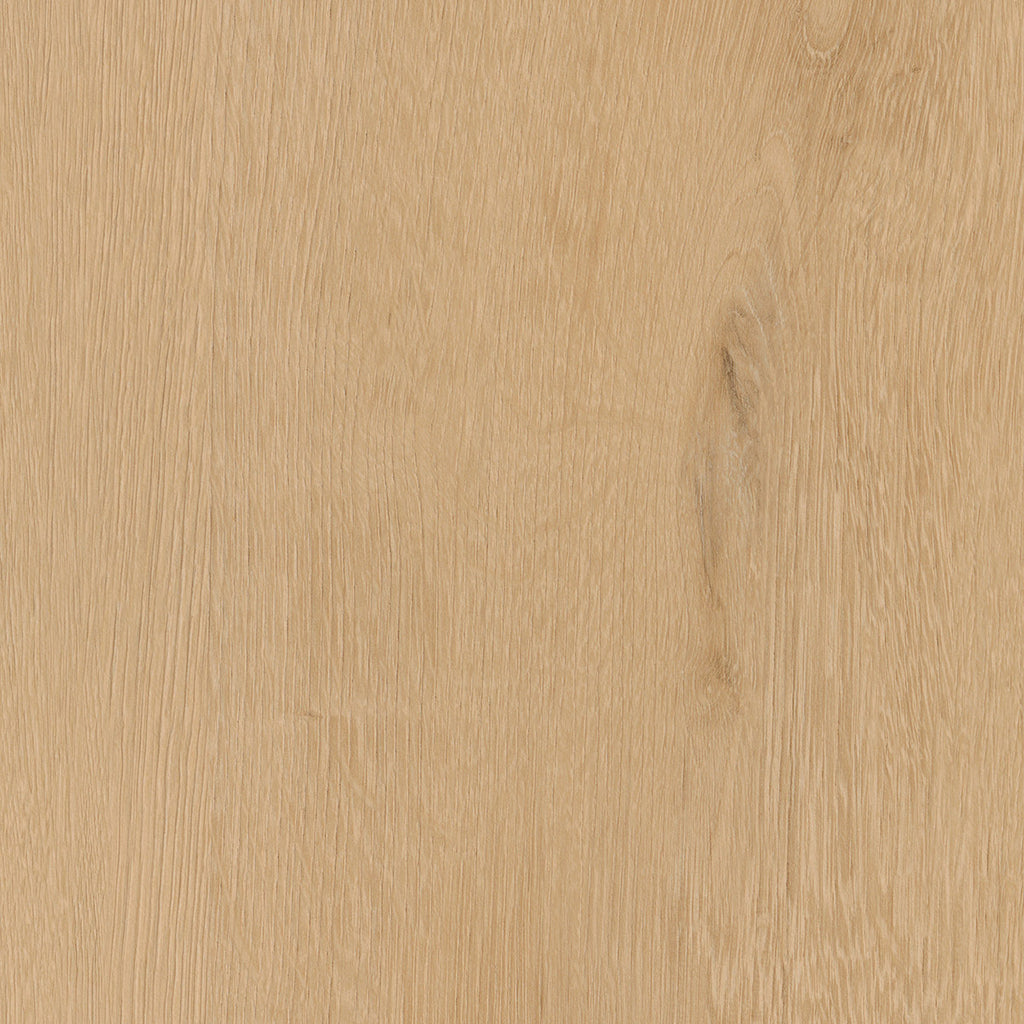 Invictus Maximus Click Belrose Oak – Harvest – próbka