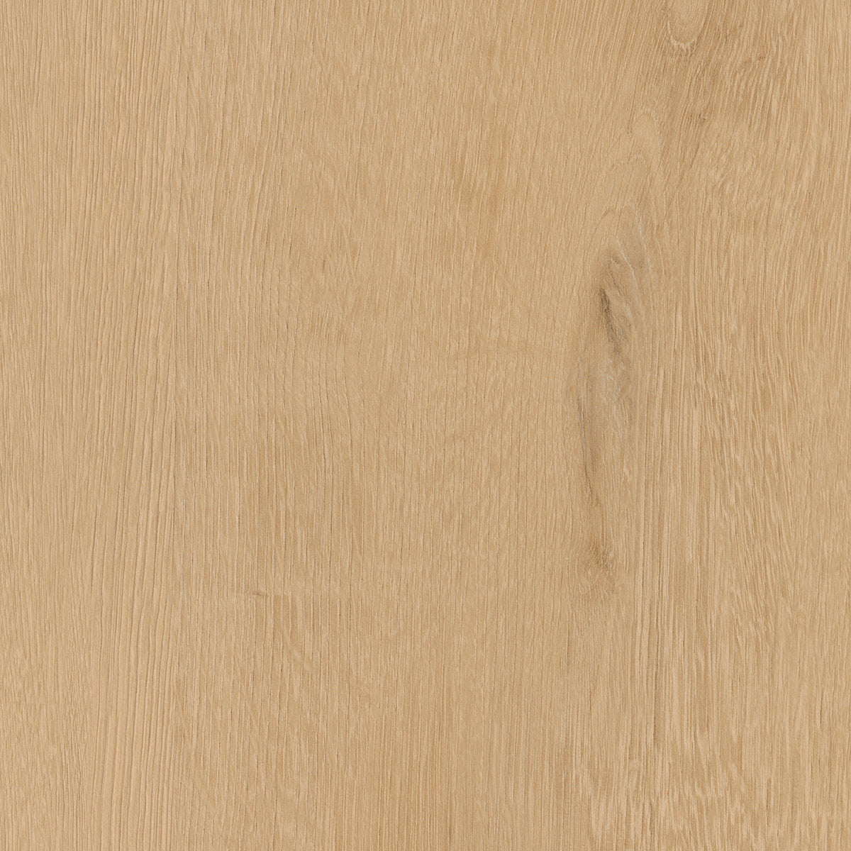 Invictus Maximus Click Belrose Oak – Harvest – próbka